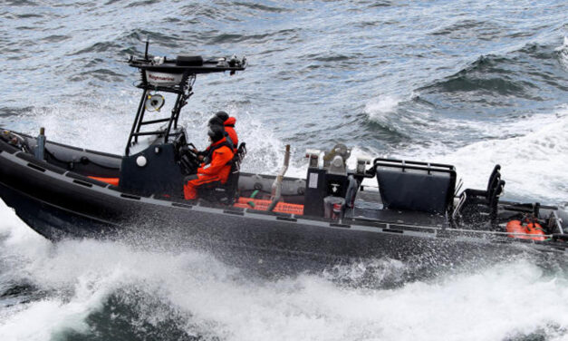 Buster - Mehrrollenfähige organische Boote für F125