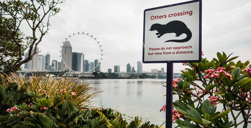 Otter Crossing Schild vor dem Fluss mit Blick auf die Marina Bay. Foto: Adobe Stock