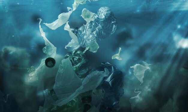 One Ocean Summit: 4 Milliarden Euro gegen Plastikverschmutzung