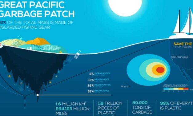 Pacific Ocean - The mountain of plastic waste is growing