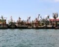 Fishing vessels in Southeast Asia, Photo: Deniz Kocak