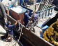 Seeleute erhalten oft keine Löhne Foto: PMA Panama