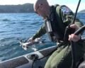 Schwimmdrohne Diodon HP30, Foto: Marine Nationale