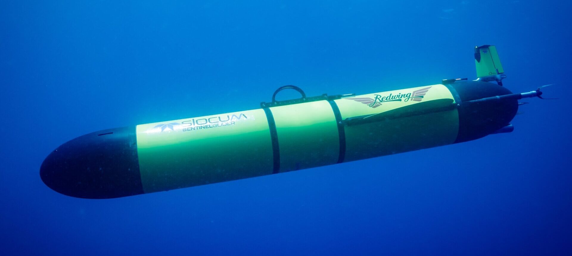 "Redwing" Slocum glider from Teledyne. Orbiting the earth. Graphic: Teledyne