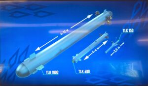 Possible variants of the Toloka underwater drone. Photo: hum