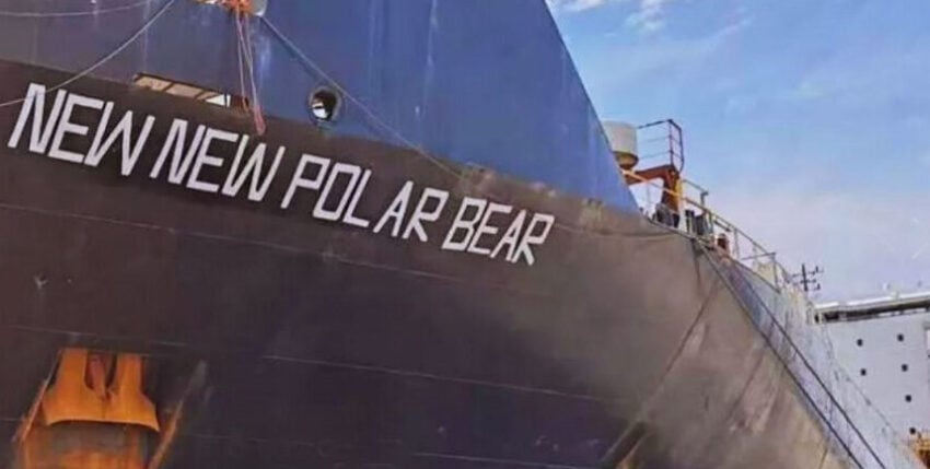 0 fin-baltconn-newnewpolarbear-(inttms.com_torgmoll-russia)