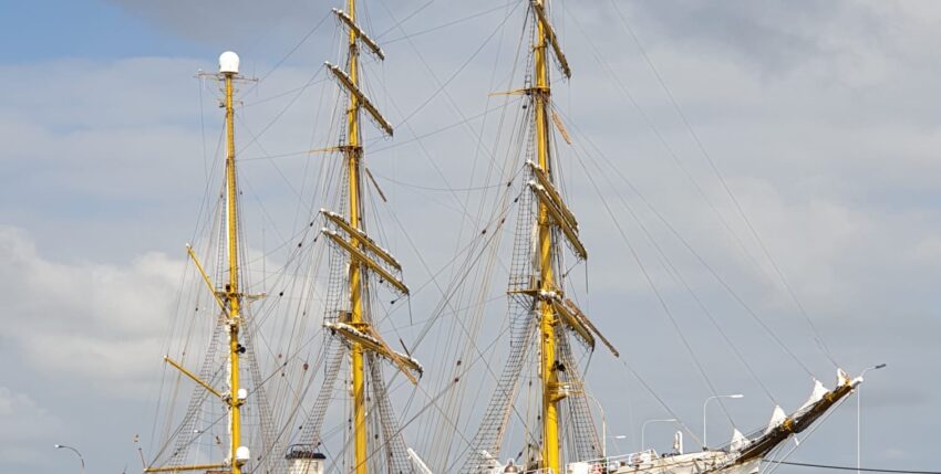 20210904_GoFo_hum (1)