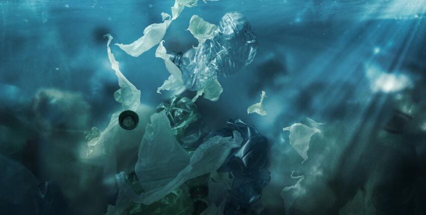 AdobeStock_257457030