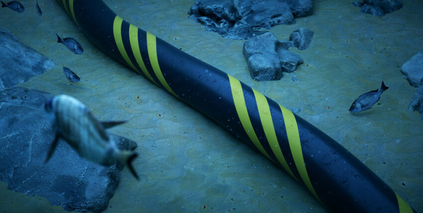 Submarine cable on the seabed with fish and rocks.