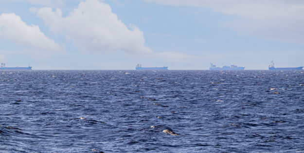 Bild: Besatzungen warten auf Evakuierung. IMO