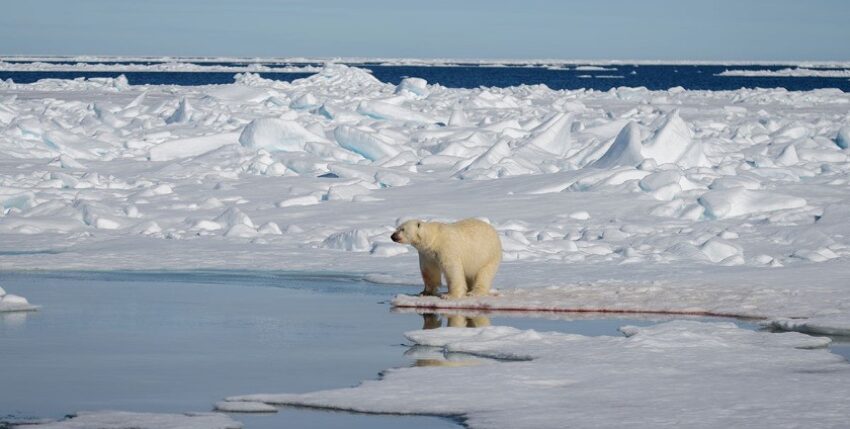 When island states sink into the sea