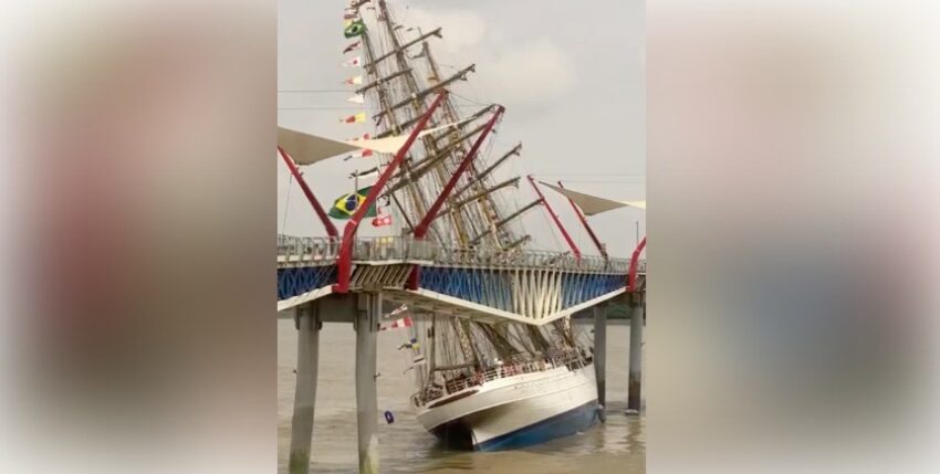 Screenshot Video Cisne Branco © Naval.com