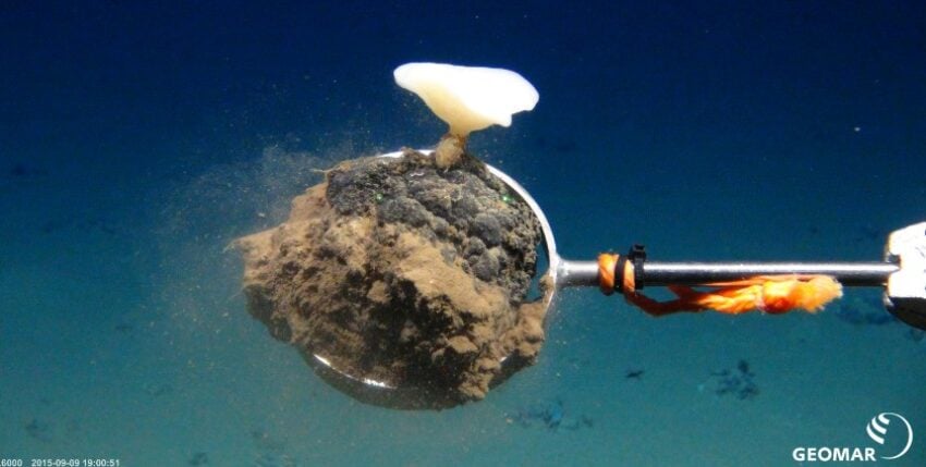 Manganknolle, Foto: Geomar