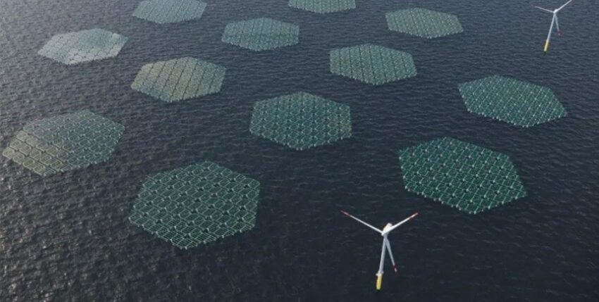 SolarDuck - Großanlage vor niederländischer Küste. Grafik: SolarDuck