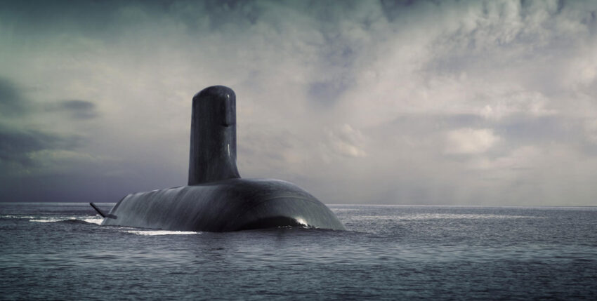 Winner in Australia: SHORTFIN BARRACUDA Block 1A